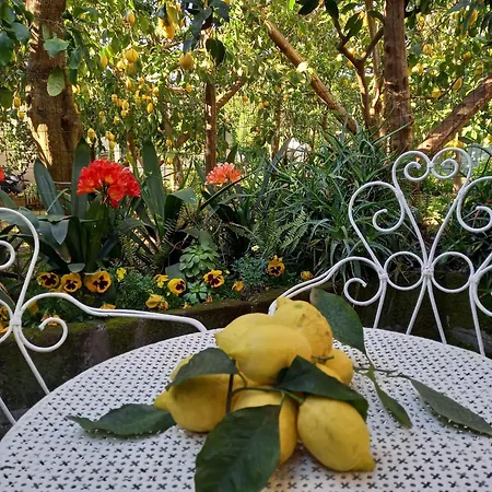 Il Limoneto Di Laura בית נופש